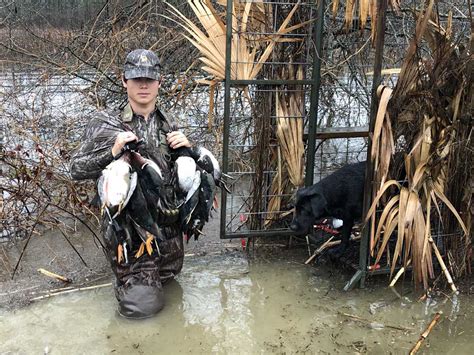 Duck hunters refuge - However, the Blue Water Isles refuge saw large numbers of ducks, primarily mallards, throughout the fall. Wood duck numbers remained low compared to the highs of 2019 and 2020. As usual, hunting pressure at St. John’s Marsh started heavy and tapered off as the season wore on.